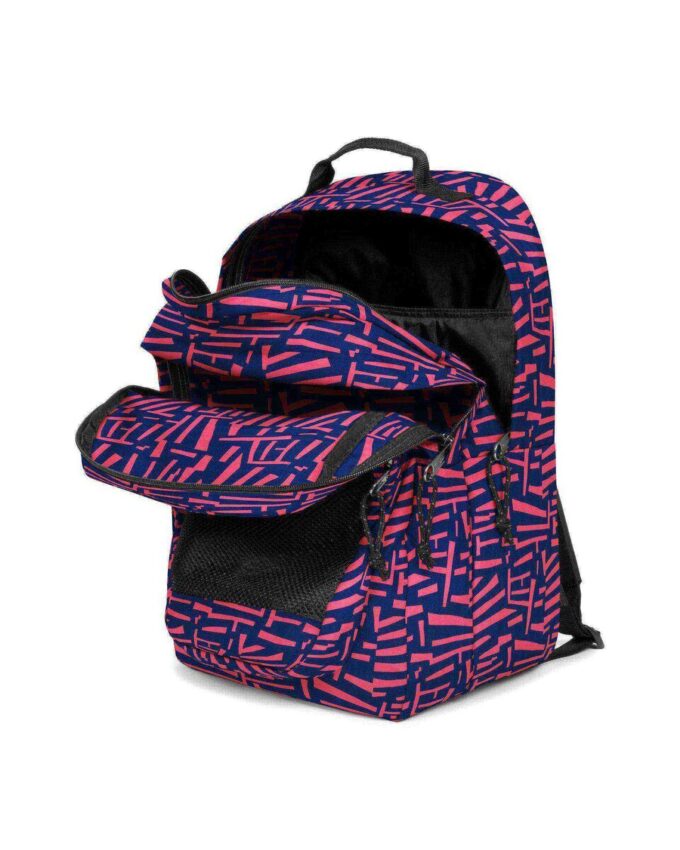 COMPAÑERO DE ESTUDIO COMPAÑERO DE ESTUDIO